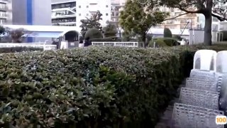 女人被男人桶得好爽免费视频完整版电影在线观看🔞中文字幕一区二区三区...